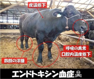 下痢を考える（１４）