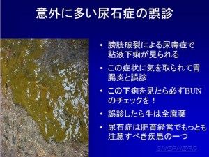 matsumoto_20120423 matsumoto_20120423