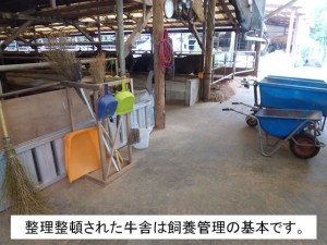 hasu_279