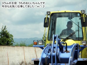 guest_20120619