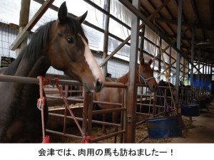 会津では、肉用の馬も訪ねましたー！
