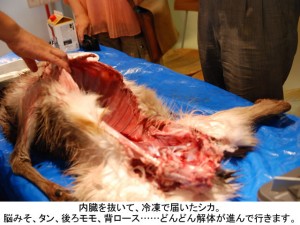 内臓を抜いて、冷凍で届いたシカ。脳みそ、タン、後ろモモ、背ロース……どんどん解体が進んで行きます。