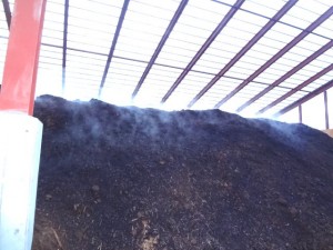 堆肥舎の位置と肉色01