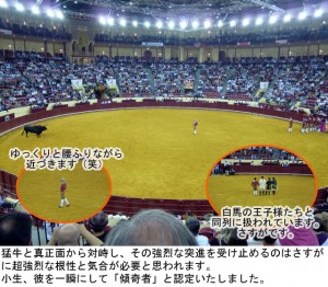 第３０１話： リスボン放浪記 その２１