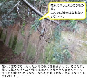 第３０５話： 思わず切なくなる