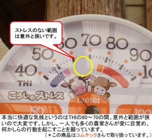第３１２話： ＴＨＩ　その３