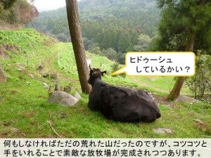 第３１４話： 時間はかかるけど・・・・