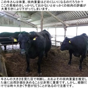 第３２８話：しもた！！大貫じゃ～～～！