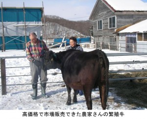 牛さんとわたし （出雲普及員のコラム４－９）