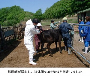 牛さんとわたし （出雲普及員のコラム４－８）