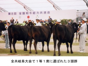 牛さんとわたし （出雲普及員のコラム４－７）