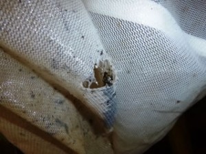 fushimi_238_01 NO.238:一網打尽 その3_01