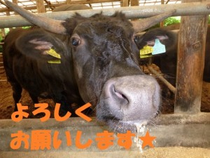 第１話：初めまして