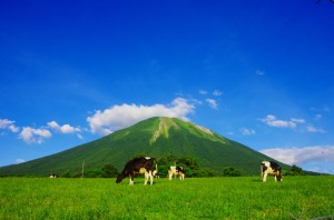 鳥取県の家保からこんにちは。（第一回）