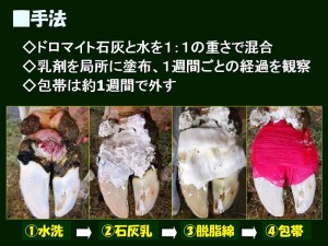鳥取県の家保からこんにちは。（第五回）