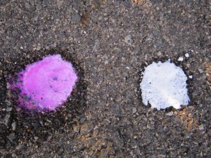 鳥取県の家保からこんにちは。（最終回）_02