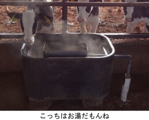飲み水が凍る！_02