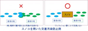 HACCP（ハッセップ）って何？（第５回）_03