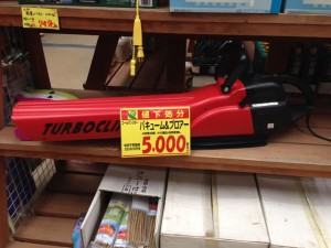 NO.２７２：今年のハエトリを妄想