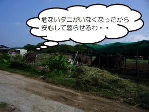 第２５話：寄生虫の話㉒