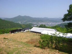 第３９２話：すごい蹄_03