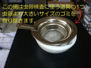 第４５：寄生虫の話㉜