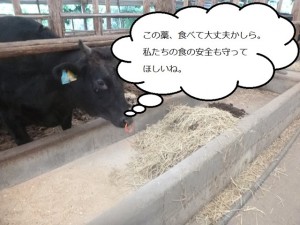 第４８話：寄生虫の話㉜