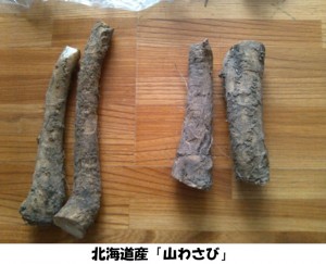 どさんこ食材ハンターみーやんの食いしん坊日記♪（第４回）_01