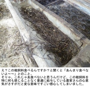 第４０５話：粗飼料のカビ