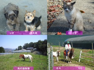 実家からの発信です！_02