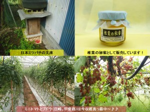 実家からの発信です！_03