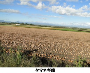 どさんこ食材ハンターみーやんの食いしん坊日記♪（第６回）_01