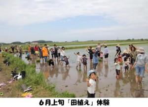 guest_20141028_02 どさんこ食材ハンターみーやんの食いしん坊日記♪(第8回)_02