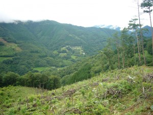 牛の獣医師になりたい！想いの始まり②_02