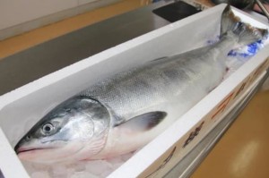 どさんこ食材ハンターみーやんの食いしん坊日記♪（最終回）_04