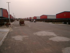 中国牧場奮闘記　その４_02