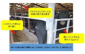 sumen_0071 第71話:風邪の予防について考えてみる③