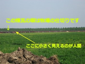 中国牧場奮闘記　その７
