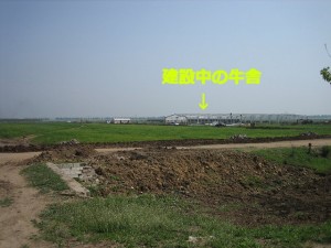 中国牧場奮闘記　その７