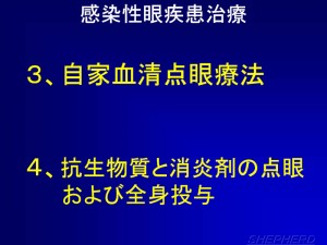 牛用眼帯！②