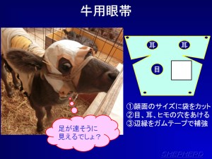 牛用眼帯！④