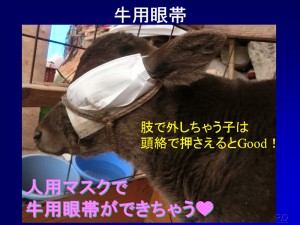 牛用眼帯！④
