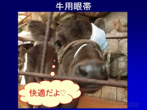 牛用眼帯！④