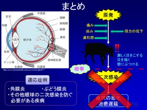 牛用眼帯！⑤