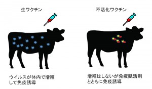 第７６話：風邪の予防について考えてみる⑧
