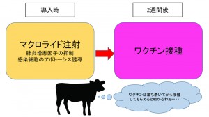 sumen_0082