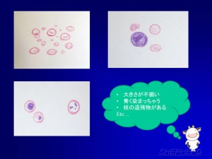第36話「ちばなし④～血、でたらどうなるん？～」