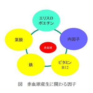 toda_0040