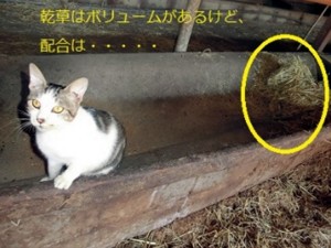 sumen_0090_01