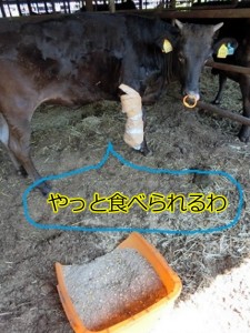 sumen_0090_02
